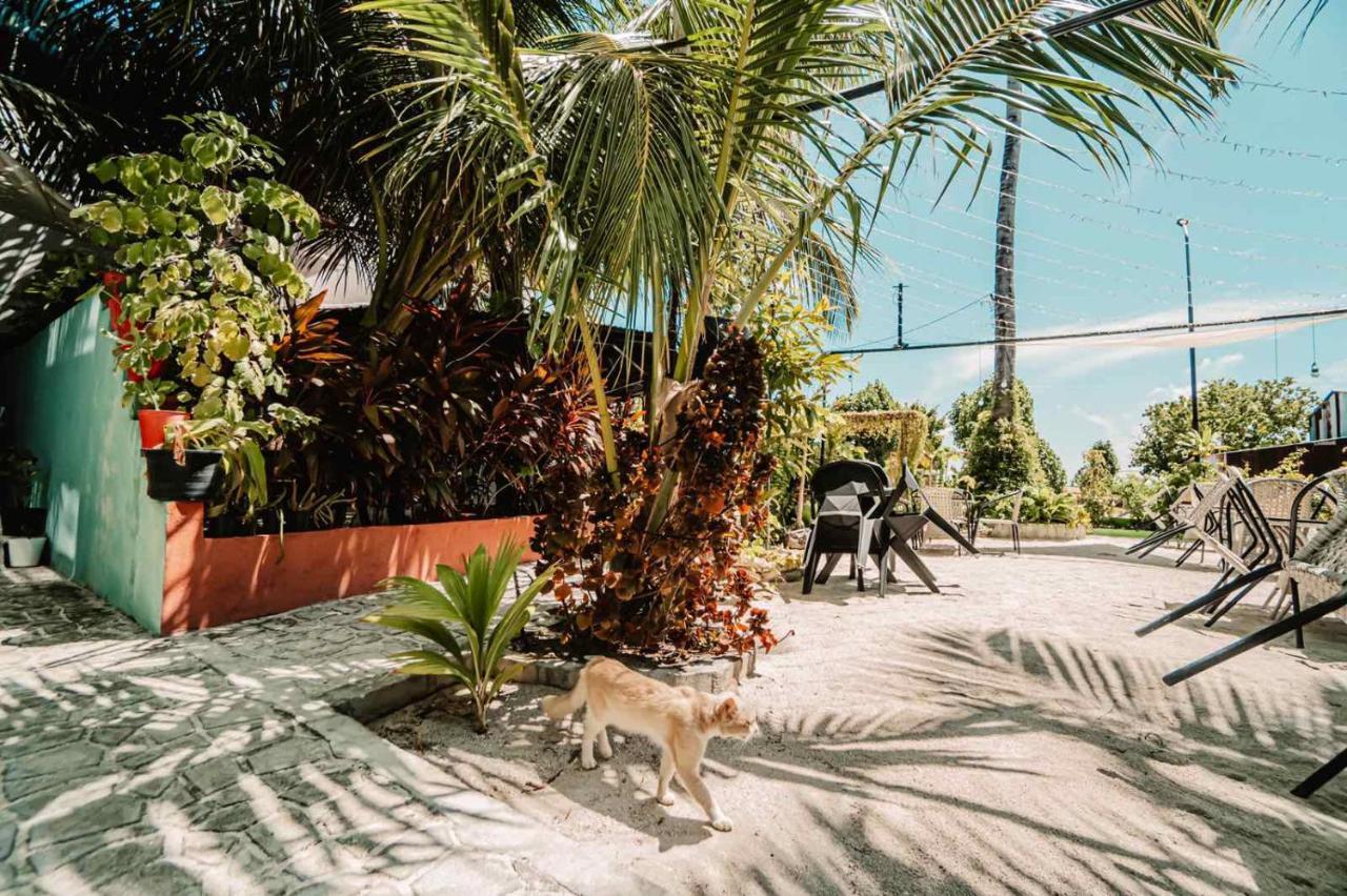 Oceana Boutique Hotel Maafushi Exterior photo